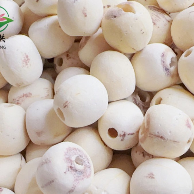 Huihonglianye Xiangtan Lotus Seeds Large General Product Microdermabrasion White Lotus Seeds Wholesale Containing Small Amount of Lotus Core