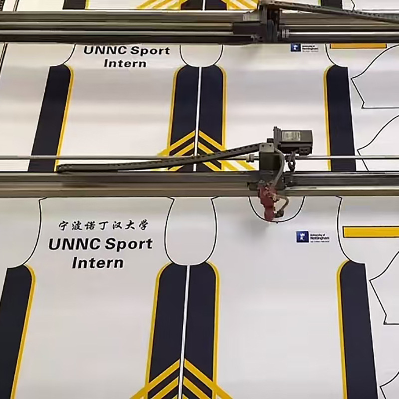 Develop laser slicing, develop clothing slicing, punch, carvings, camera positioning, slicing