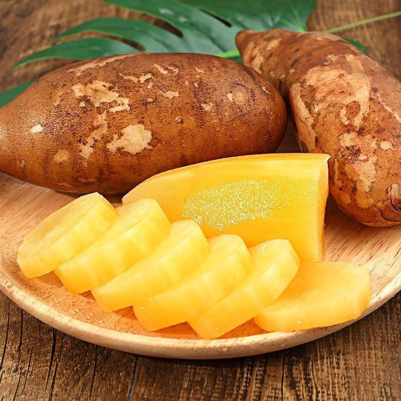 Freshly Dug and Shipped from Yunnan Tianshan Snow Lotus Root, Seasonal Fresh Fruit, Crispy, Sweet and Juicy, One Whole Box, Dropshipping