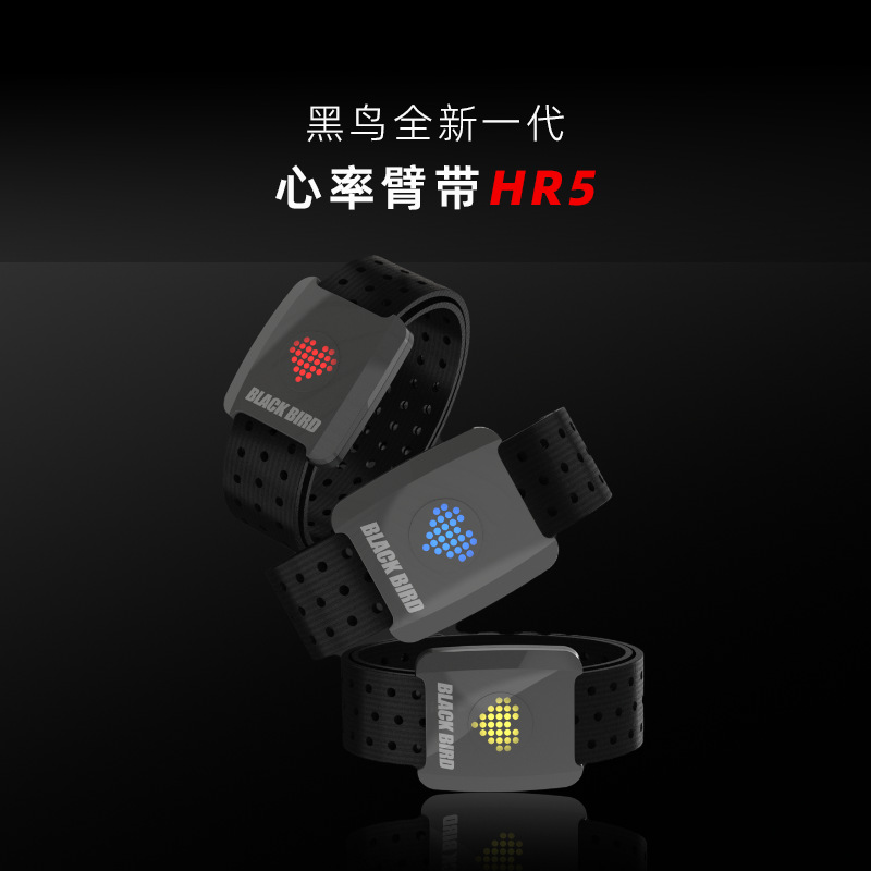 Пояс для сердца Blackbird, браслет для мониторинга сердечного ритма, для бега, велоспорта, фитнеса, на открытом воздухе, водонепроницаемый, Bluetooth, ANT+
