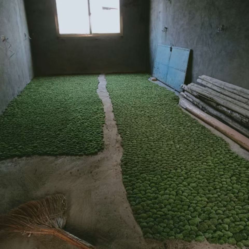 Micro Landscape Moss White Hair Moss Feather Moss Large Gray Moss Star Moss DIY 11*8 Boxed Wholesale Price Per Box