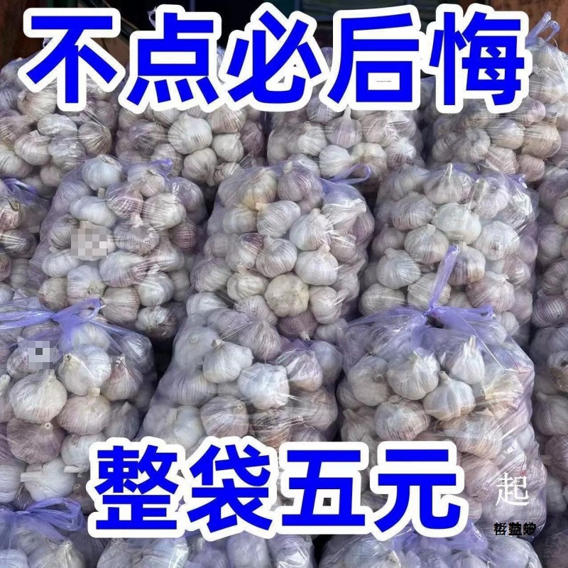 2025 Сухой чеснок из Шаньдун 5 фунтов 5кг упаковка свежие чесночные головки