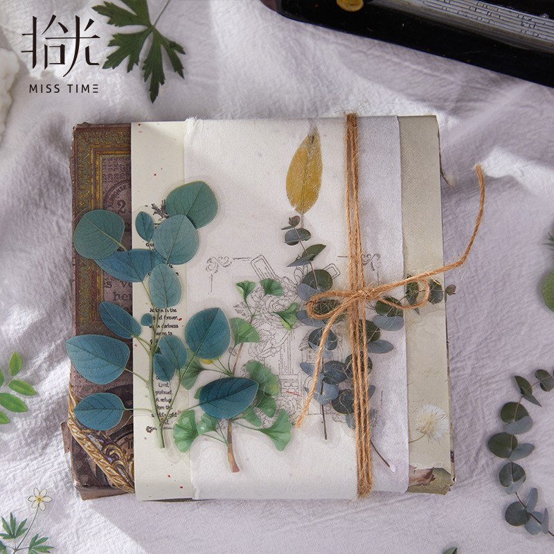 Must-Have Popular Item: Pet and Washi Paper Dual-Material Sticker Pack, High-Value Decorative Stickers, Direct from Source Factory, In-Stock Wholesale