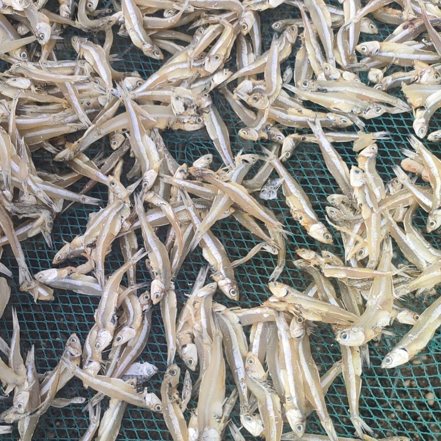 Dried Freshwater Fish, Street Stalls, E-Commerce, Wholesale, Dried Male Fish, Doll Fish, Dried Sailfish, Dried Fish, Dried Whitebait
