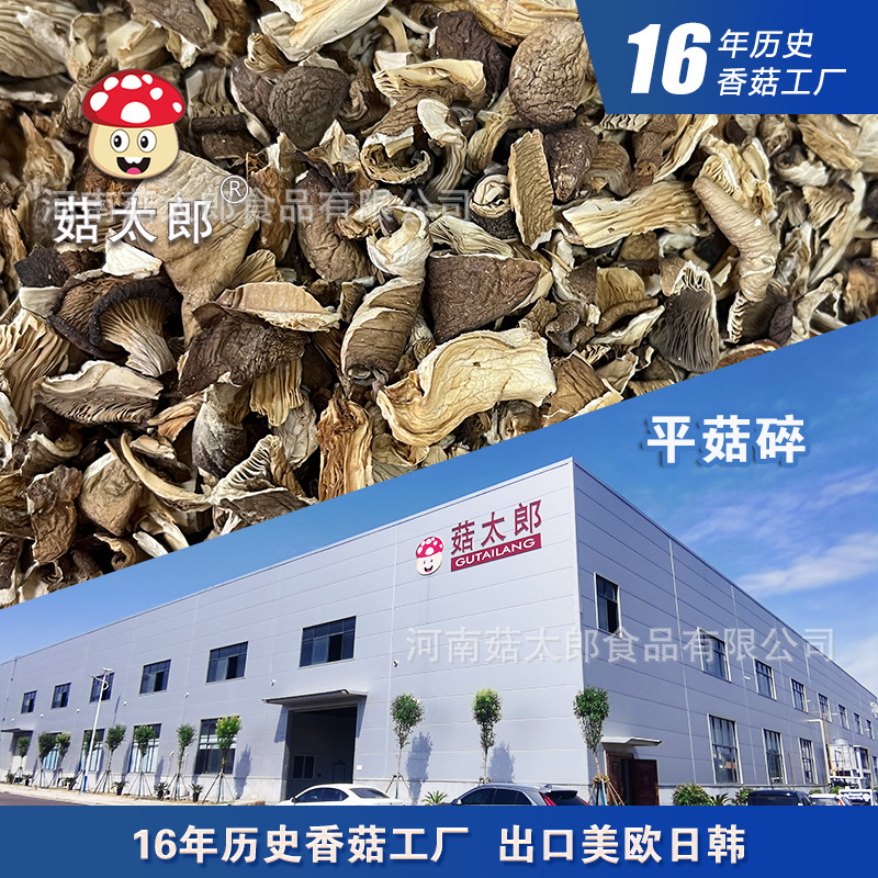 Wholesale of Shiitake Mushroom Fragments, Abalone Mushrooms, Shiitake Mushrooms/Xiu Zhen Mushrooms, Sauce Filling Powder Extraction Factory Direct
