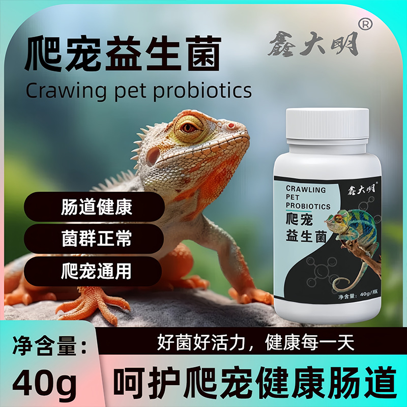 Reptile Calcium Powder D3 Probiotics Vitamins Electrolytes Tortoise Bearded Dragon Lizard Vitamins Vitamin Ba Gecko Eyelashes