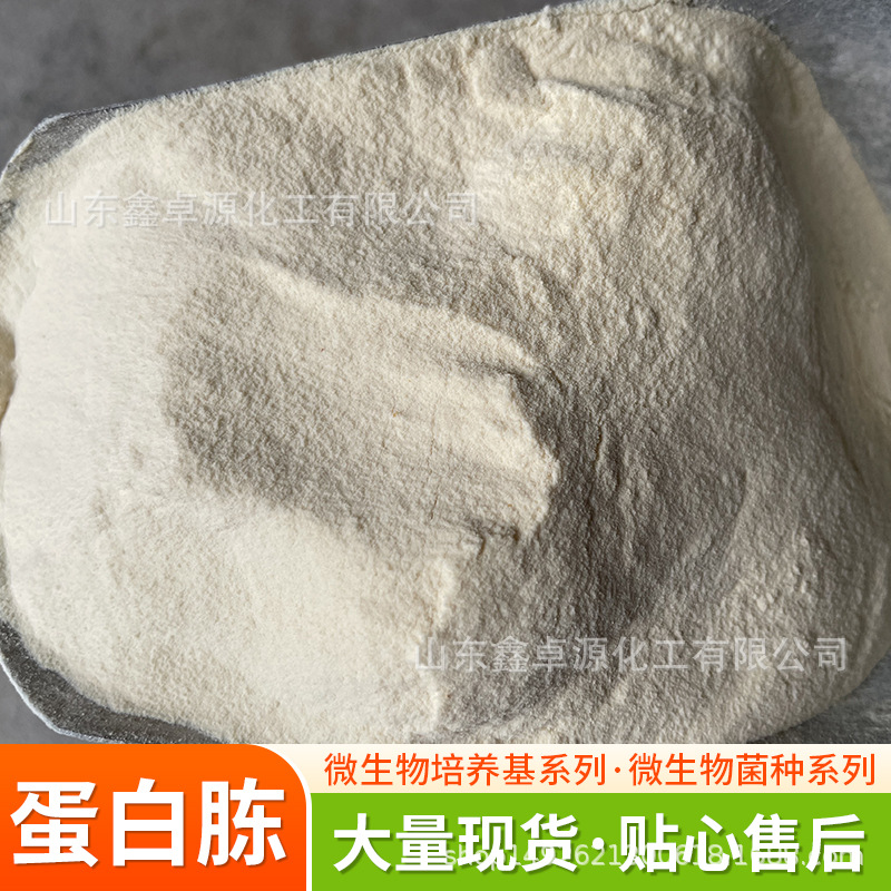 Bovine Bone Peptone Biochemical Reagents Microbial Fermentation Nitrogen Source Medium Peptone