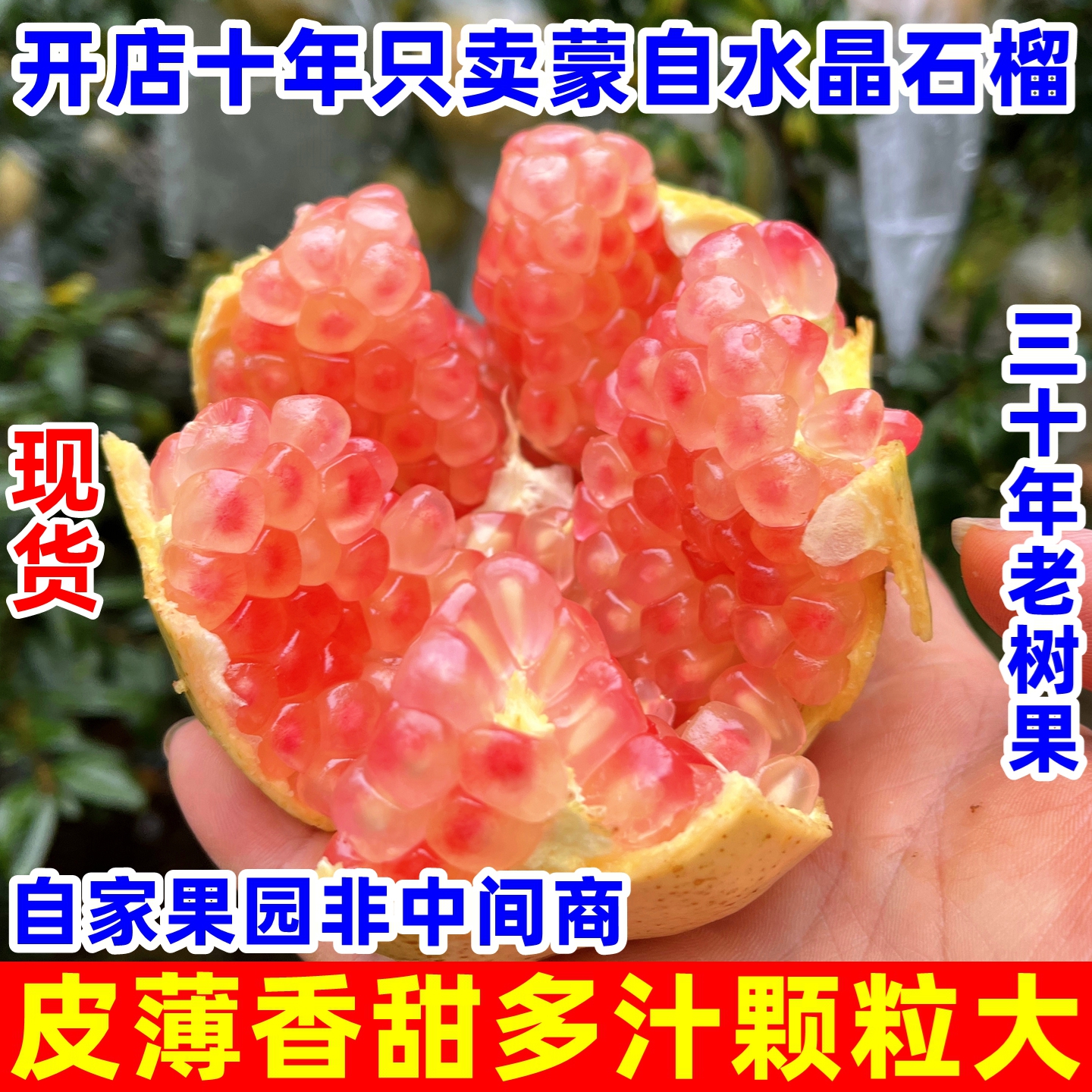 [Событие] Гранат Юньнани Менгци Нандаи 1.5кг свежесобранный сезонный гранат с твердыми семенами сладкий гранат свежие фрукты для беременных женщин