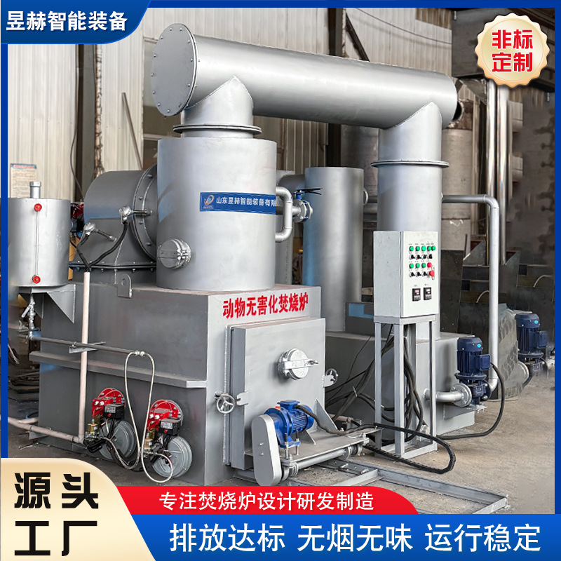 Animal Pet Corpse Fire Furnace Harmless Incineration Treatment Equipment Pet Funeral Incinerator