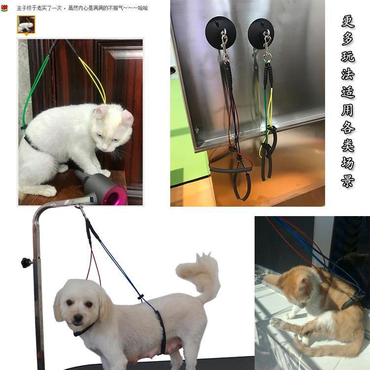 Pet Beauty Hanging Rope Lanyard Beauty Table Hanging Rope Dog Cat Bathing Fixed Rope Steel Wire Beauty Rope Suction Cup