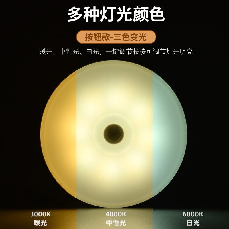 Rechargeable Human Body Sensor Night Light Bedside Smart Sensor Light Wardrobe Corridor Night