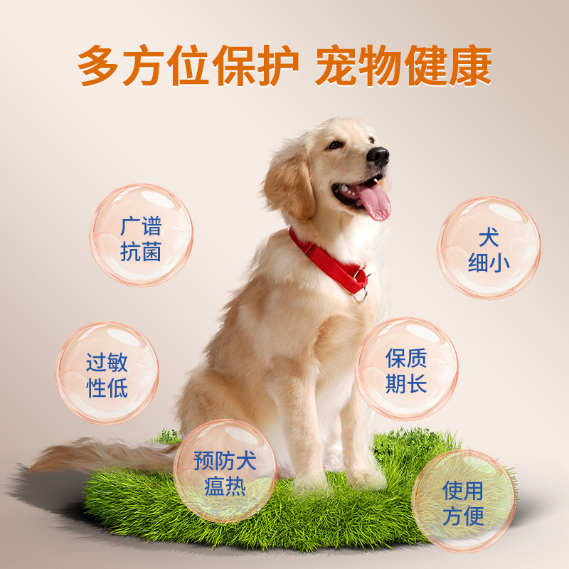 [for Dogs] Domestic Jinbei'An Two-In-One Vaccine