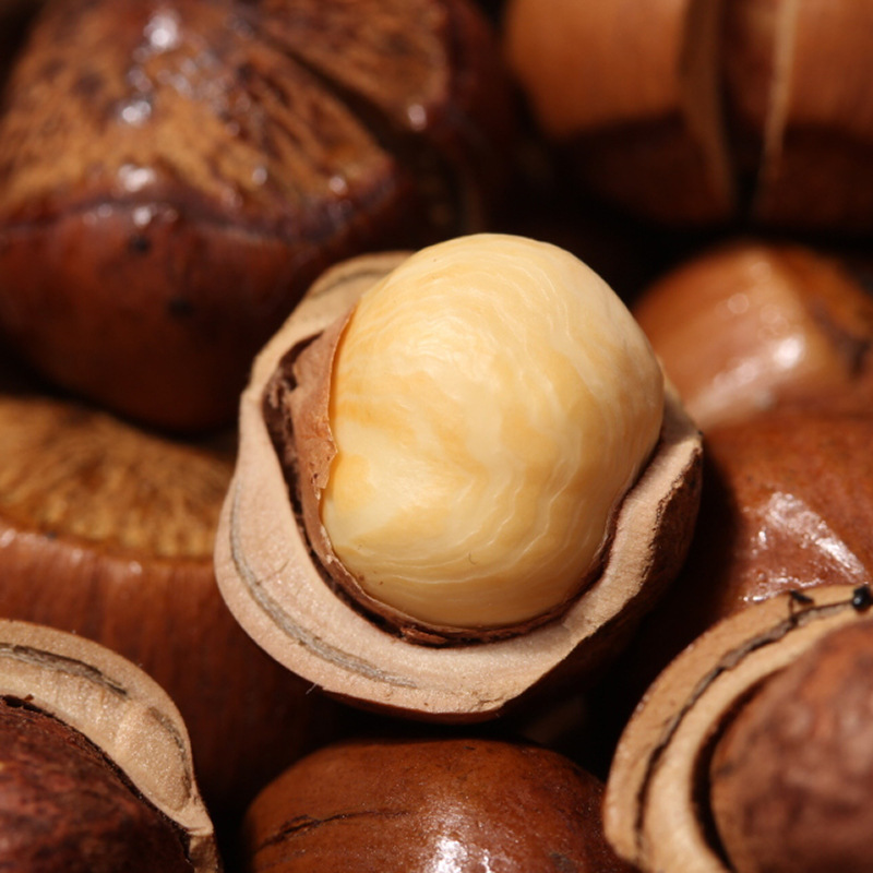 New large hazelnut kernel 500g nuts original cooked baking raw materials northeast specialty hazelnut nuts with skin wholesale