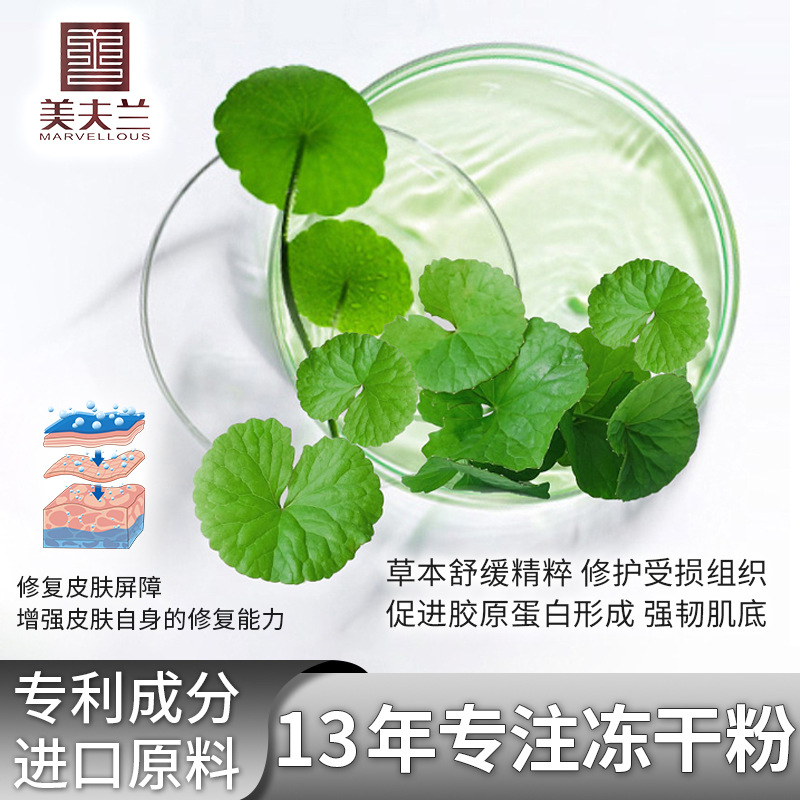 Professional Grade Freeze-Dried Powder for Smoothing Acne Texture Oem Customized Oem Centella Asiatica Oligopeptide Freeze-Dried Powder Essence Processing