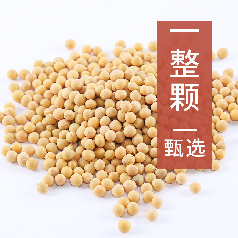 [Factory] Soybeans 400g Wholesale Bean Sprouts Special Soy Milk New Beans Whole Grains Whole Grains Source Factory