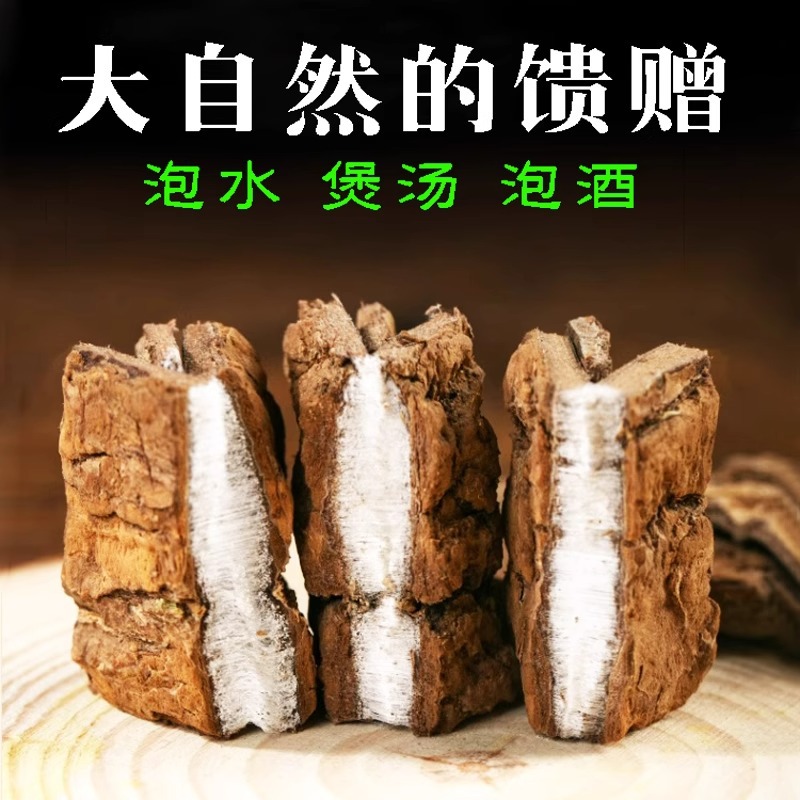 Fried Eucommia 500g Free Shipping Chinese Herbal Medicine Special Fried Eucommia Bark Wild Natural Authentic Salt Fried Eucommia Soaked in Wine