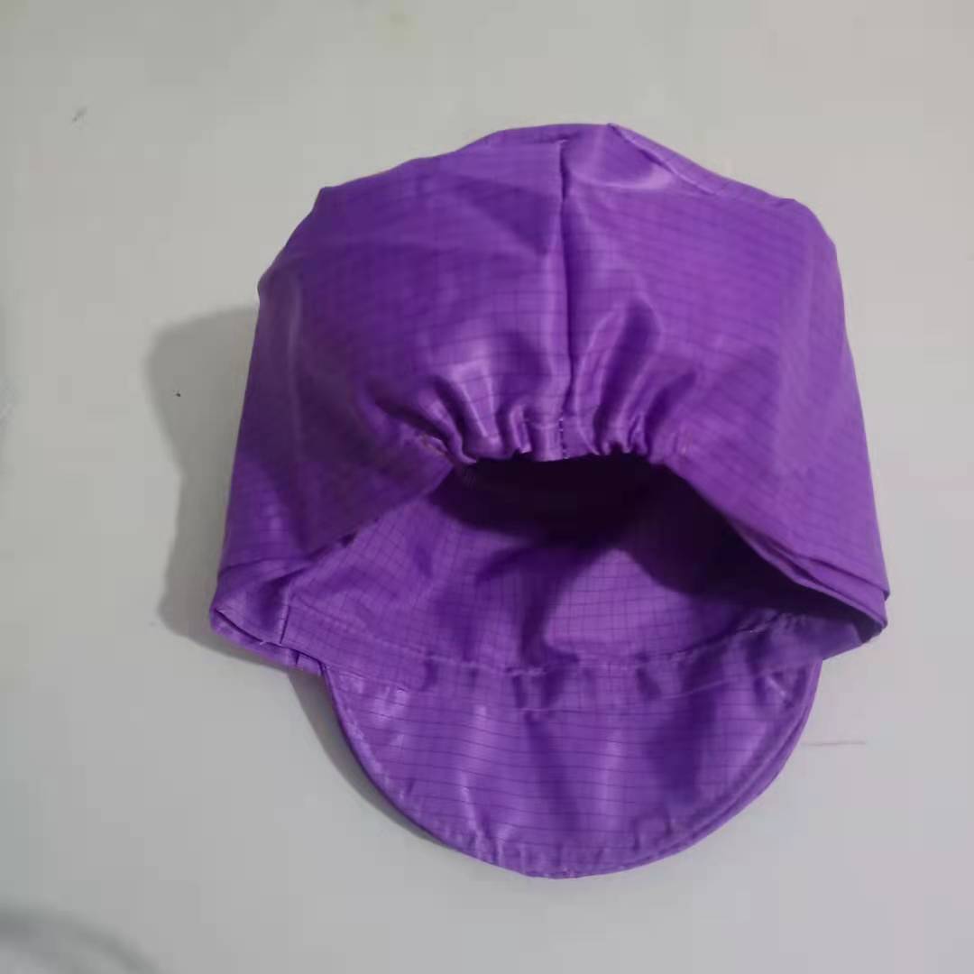 Anti-Static Mesh Cap Purple White Blue Mesh Cap Static Cap Dust-Free Cap