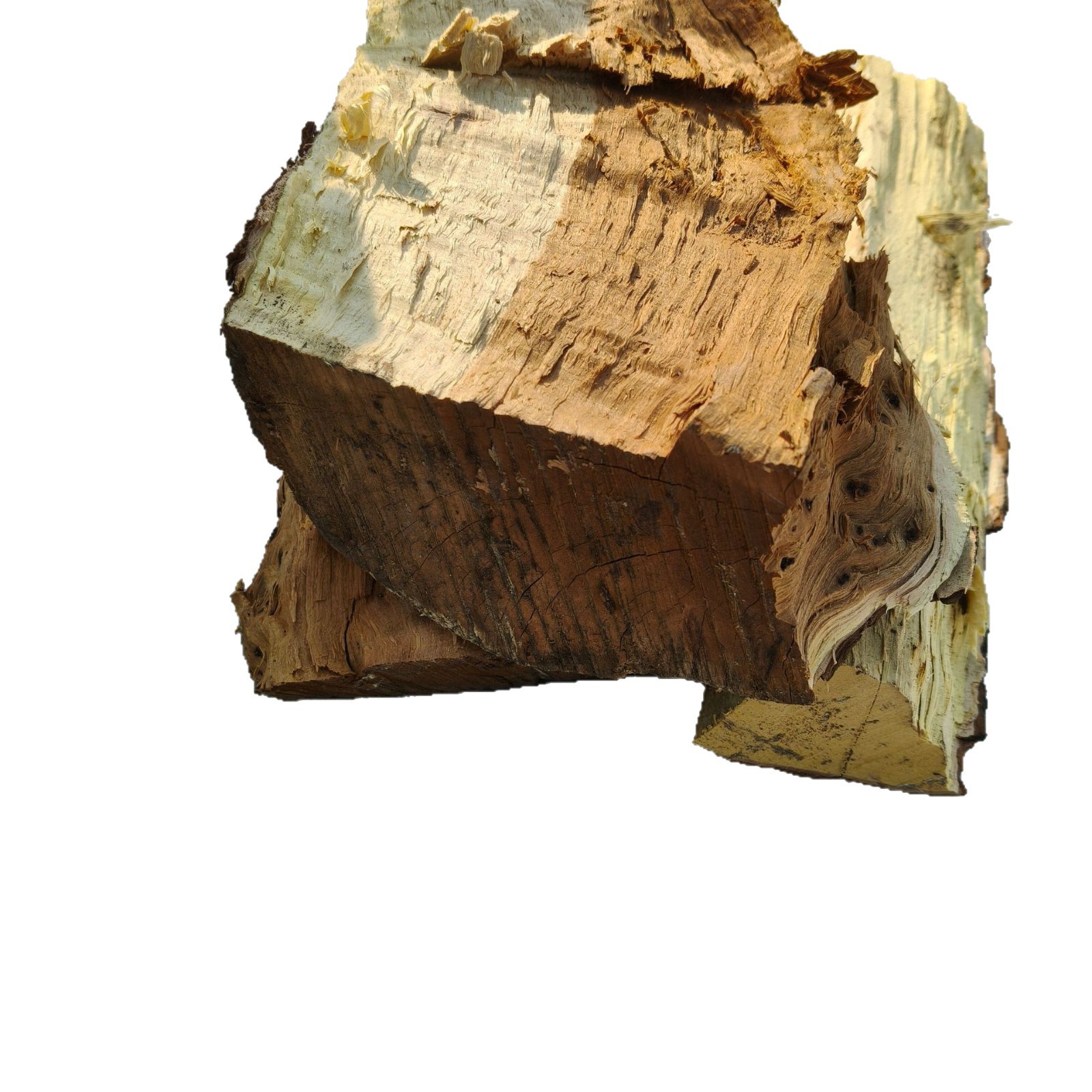 Jujube Wood Firewood for Outdoor Barbecue Camping, Landscape Decoration, Hardwood for Burning, Durable Firewood for Grilling, Roasting Duck, Fruit Wood