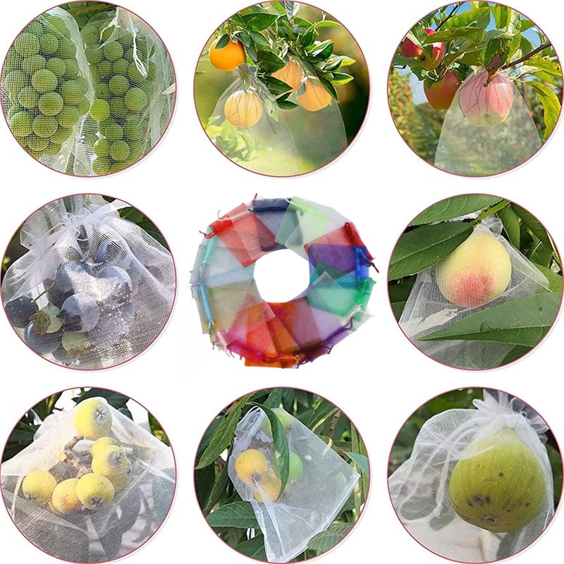 Wholesale Fruit Bagging Breathable Loquat Strawberry Peach Bagging Orchard Grape Bird and Insect Proof Net Bag