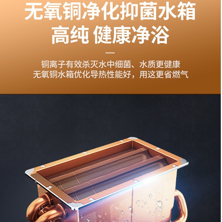 Gas Water Heater Household Hot Water Stove Large Water Volume Ultra-Quiet Instant Heating Strong Exhaust Intelligent Constant Temperature Energy Saving