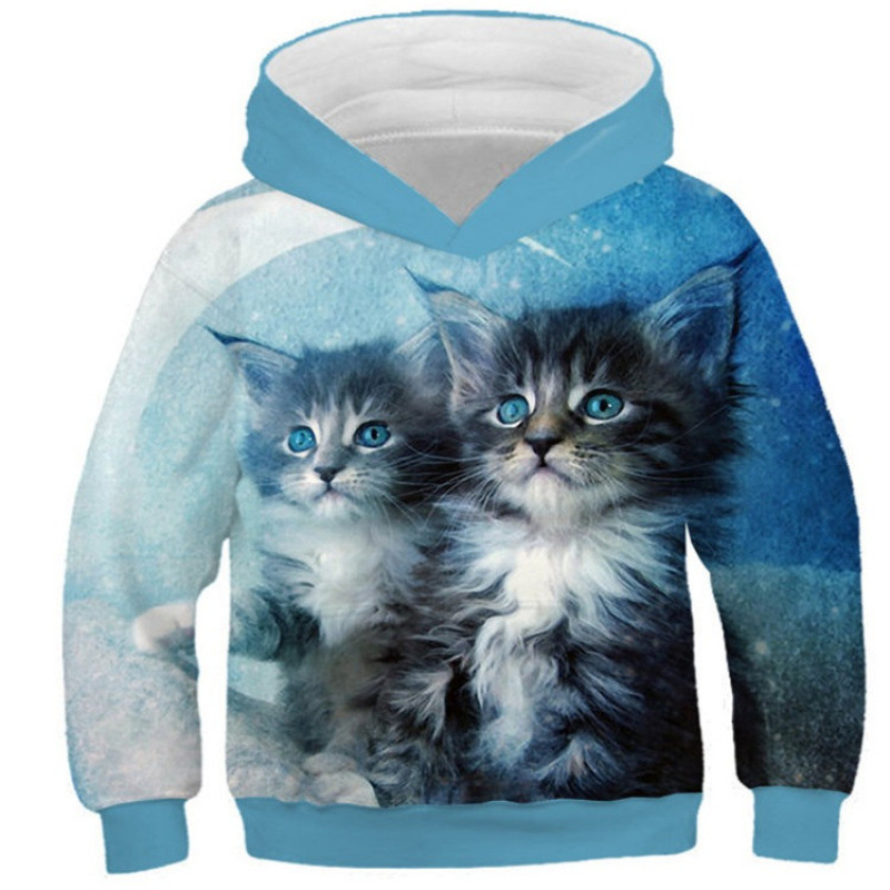 Cross-Border Children's Hooded Sweatshirt 3D Stereo Printed Cartoon Pattern Spring and Autum Children's Clothing Jacket Factory Direct Sales and Delivery