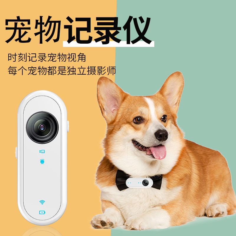 Портативная камера для питомцев, HD, для студентов