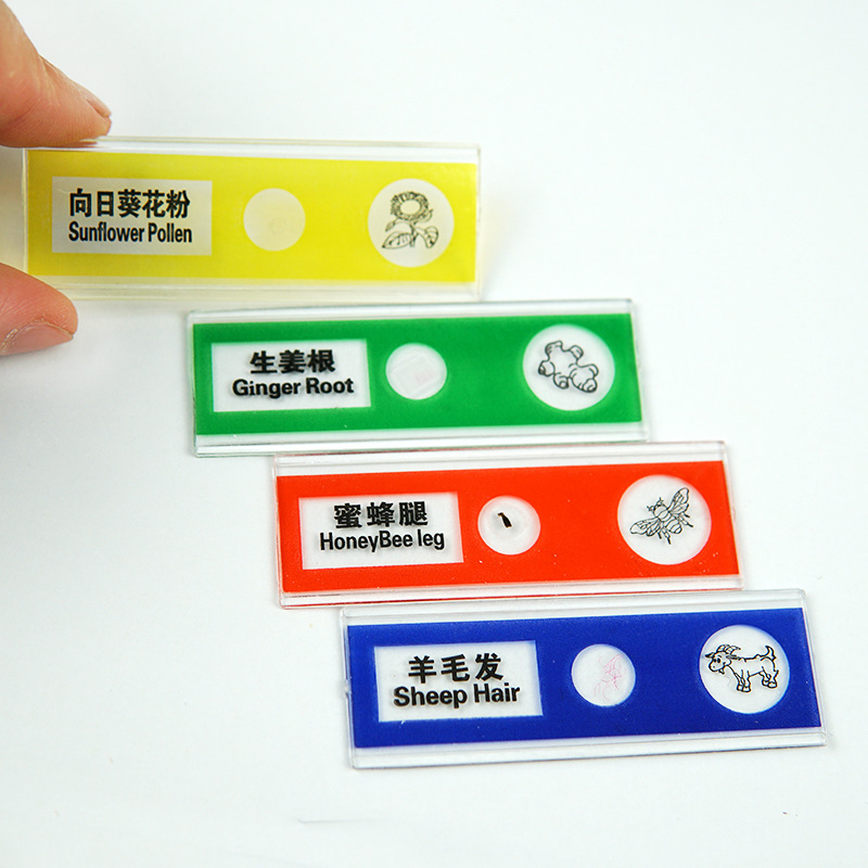Portable microscope plastic specimen children's experimental biological slide specimen slice bilingual