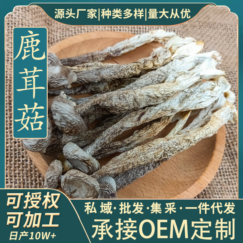 Deer Antler Mushrooms, Dried Goods with Free Shipping, Non-Special Grade Mushrooms, a Specialty of Gutian, Crispy Mushrooms, Origin from Gutian, 100 Grams