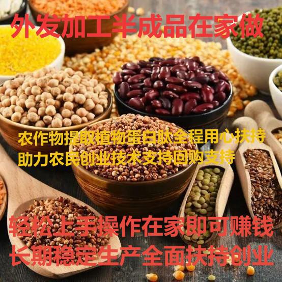 Зерна → Короткие пути к богатству, консультация по низкой цене сейчас