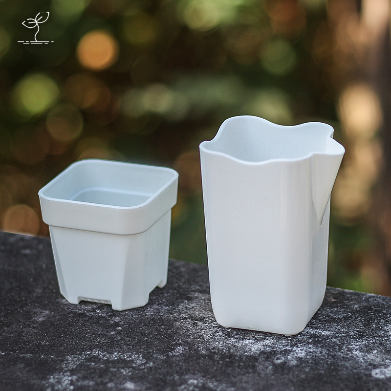 Thickened Translucent Hydroponic Low Square Fleshy Plastic Flower Pot Plant Potted White Scale Measuring Cup Line Suction Pot Small Square