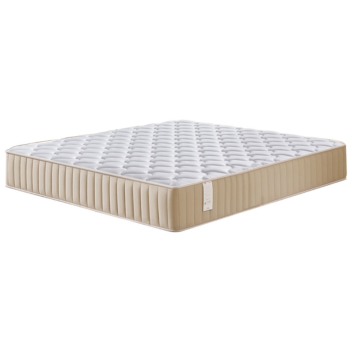 Latex Hotel B&B Simmons Mattress Home Rental Hard Coconut Palm Independent Spring Dormitory Mattress Foshan Factory