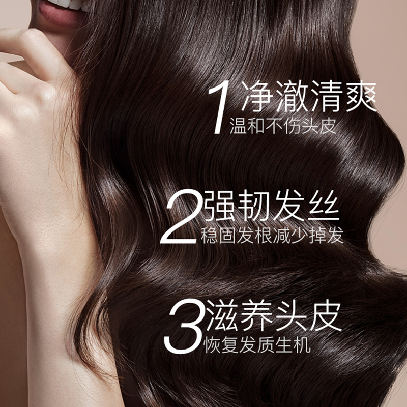 Old Ginger King Shampoo Ginger Shampoo Ginger Juice Hair Nourishing Anti-Dandruff Anti-Itch Moisturizing Shampoo Smooth Conditioner