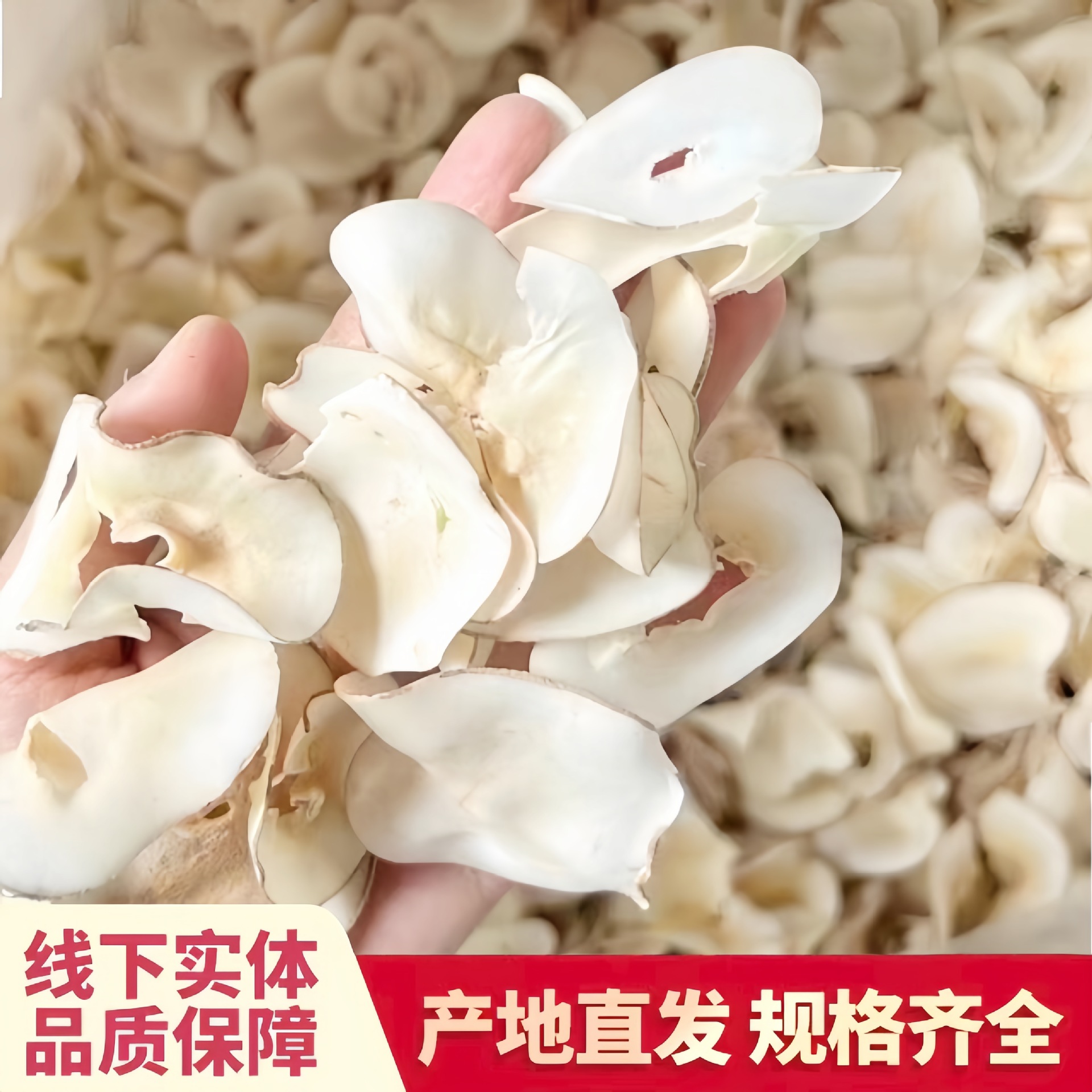 Dried Coconut Slices for Soup and Stew, Thin Slices in Bulk Wholesale, Hainan Specialty