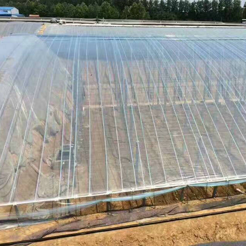 Greenhouse film manufacturers supply boutique Crystal pofilm high transparency anti-aging anti-fog drop