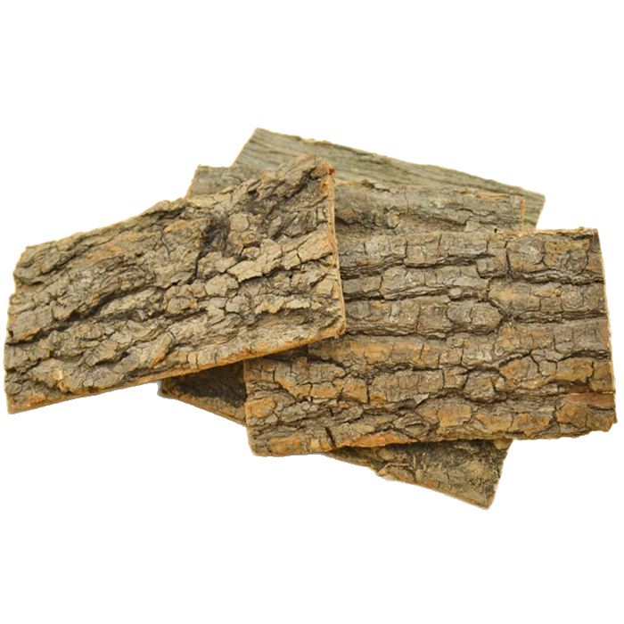 Eucommia Bark Chinese Herbal Medicine Pure Natural Special Grade Eucommia Bark Genuine Wild Eucommia Tea 500g Free Shipping Thin Bark