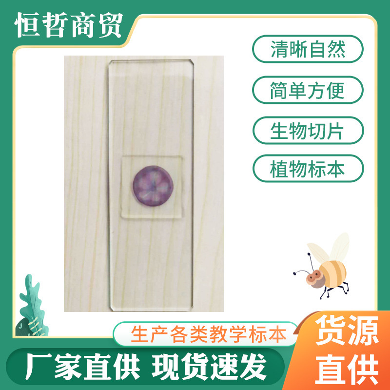 Microscope Sliced Specimen 10-Piece Set Cell Glass Slide Biological Teaching Experimental Equipment