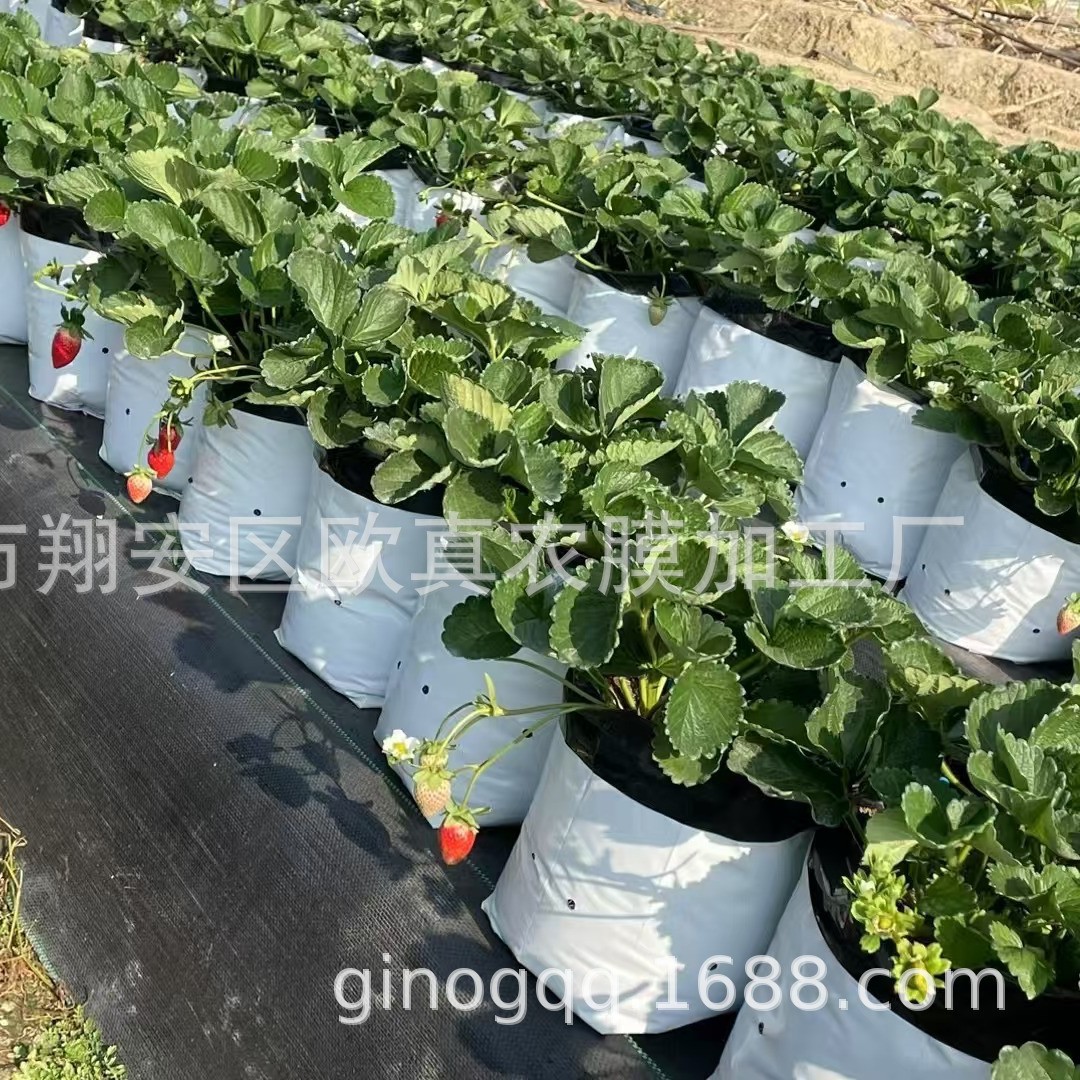 Factory Direct Sales Blueberry Planting Bag Blueberry Substrate Cultivation Bag Seedling Bag Growth Bag Durable and Thickeneded