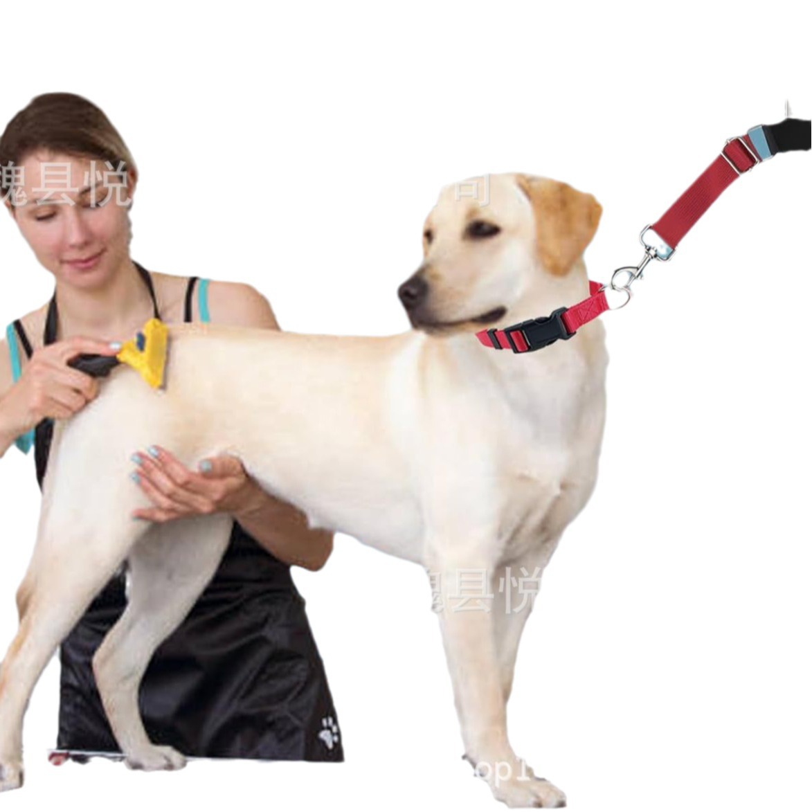 Pet Beauty Table Hanging Rope Beauty Table Fixing Rope Dog Shearing Fixing Rack Rope Cat Dog Hanging Rope Accessories