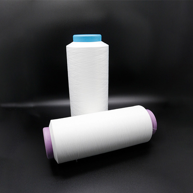 Regenerated Polyester Fdy High-Strength Silk 40D24F Webbing Mark Low-Elastic Black and White Polyester Filament Grs Polyester Raw Silk