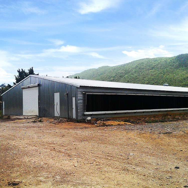 Steel Structure Chicken House Export Production Stable Frame Good Insulation Effect Fully Automatic Steel Structure Chicken House Farm