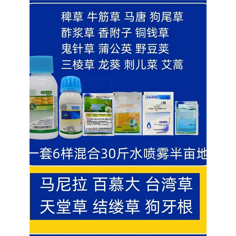 Lawn Weed Killer for Foxtail Grass, Purslane, Dogtail Grass, Pansy, Clover, Asarum, Arrowroot, Pennywort, and Medicinal Herbs