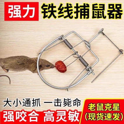 Мышеловка, напольная ловушка, домашняя мышиная клетка, месть, одно гнездо