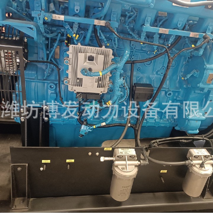 Gas Generator Set Biogas Natural Gas Straw Gas 100 200 250 300Kw Methanol Generator Set