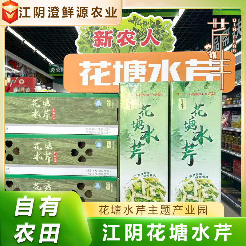 Сельдерей водяной оптовая продажа овощей подарочная коробка агент дистрибуция свежие овощи сельдерей водяной