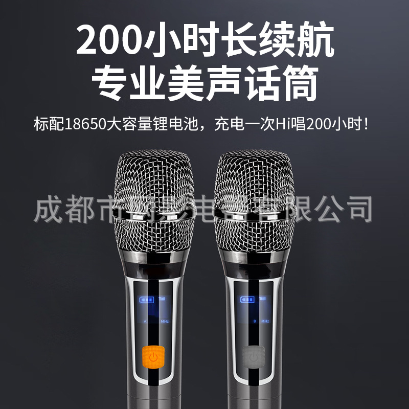 Net Shadow Karaoke Speaker Ktv Home Theater Singing Speaker with Independent Subwoofer Dual Wireless Microphones Stereo
