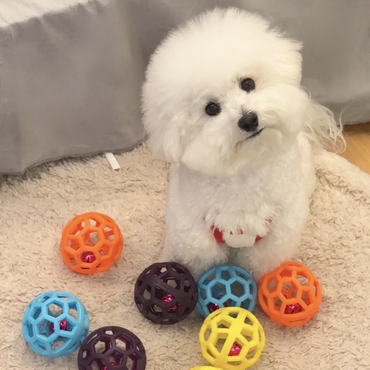 Dog toy ball puppy bite-resistant sound pet cat self-Hi relieving stuffy artifact puppy molar tooth cleaning
