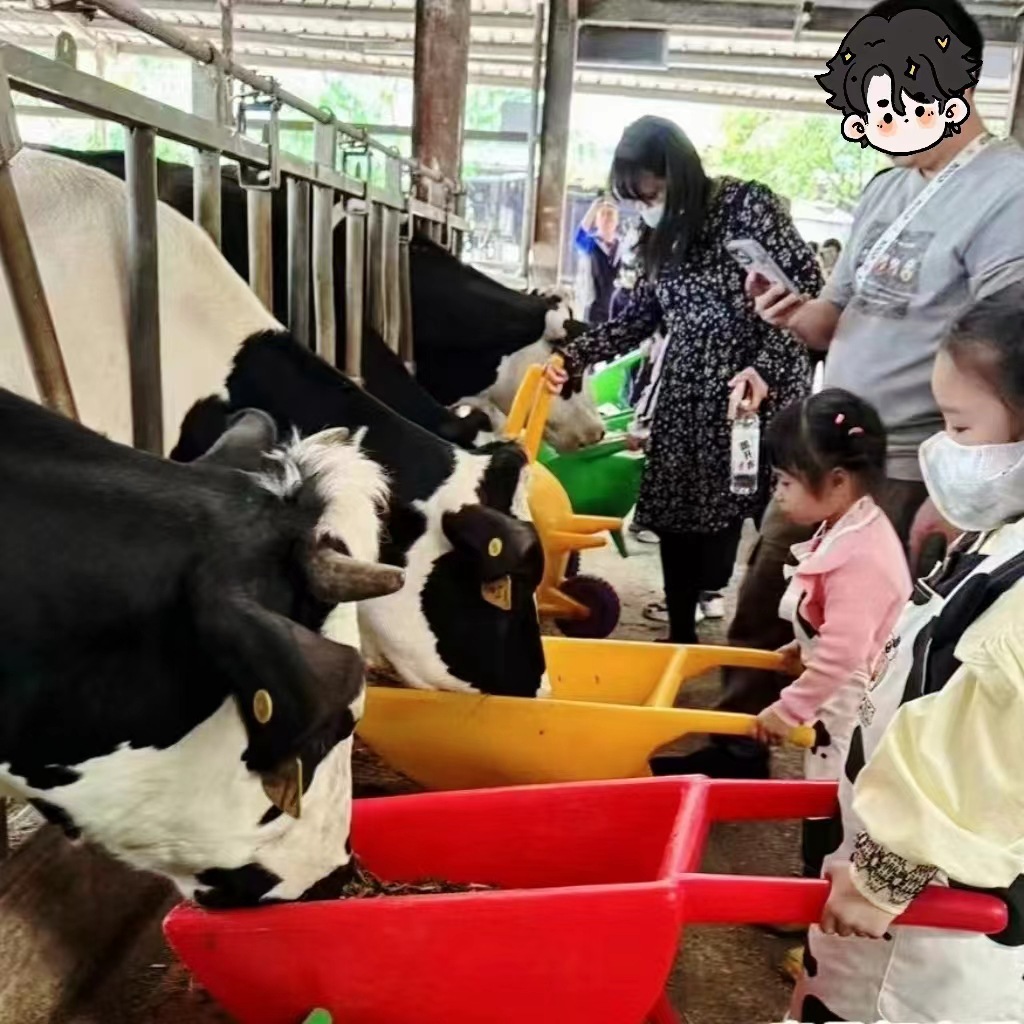 Kindergarten Trolley Children's Plastic Wheelbarrow School Early Education Available Farm Beach Toy Trolley Large