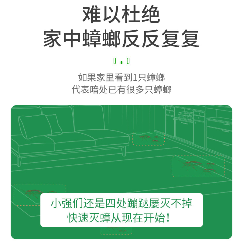Foreign Trade Export English-Style Cockroach House Practical Cockroach Killer Trap Lure Sticker Wholesale Green Cockroach Repellent
