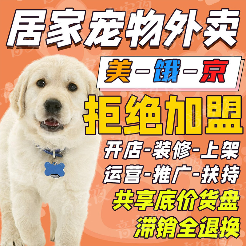 Cute Pet Supplies Agent Franchise, Universal Feeding and Drinking Bowls for Cats and Dogs, Unmanned Vending and Takeaway, Full Range of Supplies