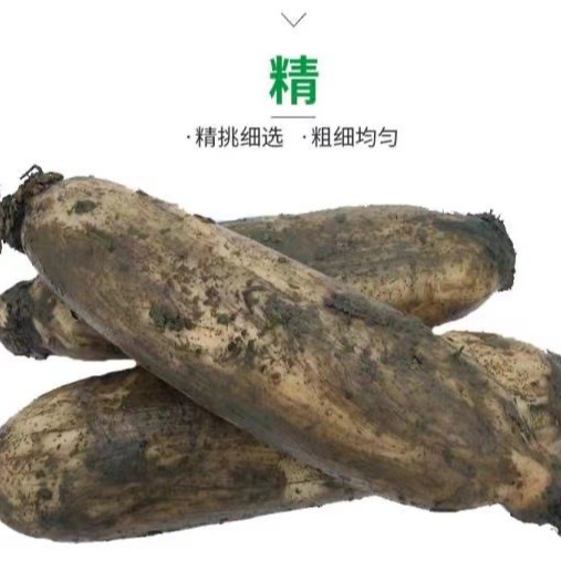 Hubei Honghu Pink Lotus Root Soup Lotus Root Fresh Farm Specialty Vegetable Glutinous Rice Lotus Root Stew Nine-Hole Lotus Root Red Lotus Root